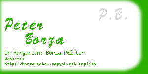 peter borza business card